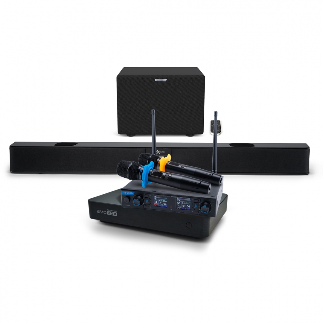 Hi-End караоке-система EVOBOX Premium + EvoSoundBar (саундбар с караоке) в Тюменской области