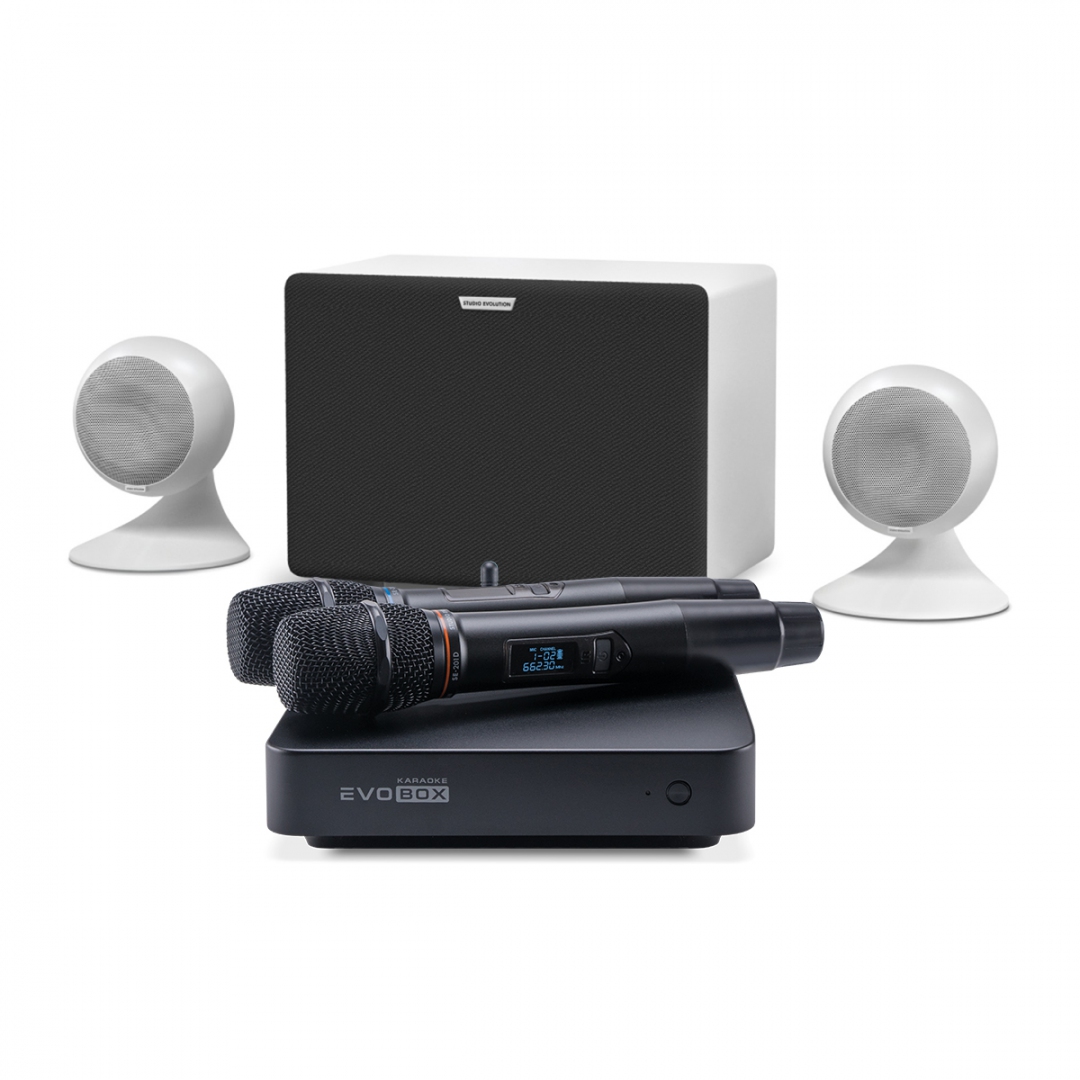 караоке-комплект EVOBOX Classic + EvoSound Sphere 2.1 в Тюменской области