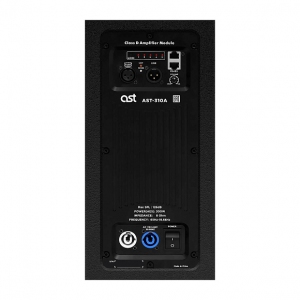 Активная акустическая система AST-310A в Тюменской области