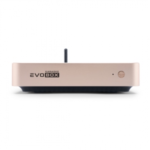 EVOBOX Plus караоке-система для дома в Тюменской области